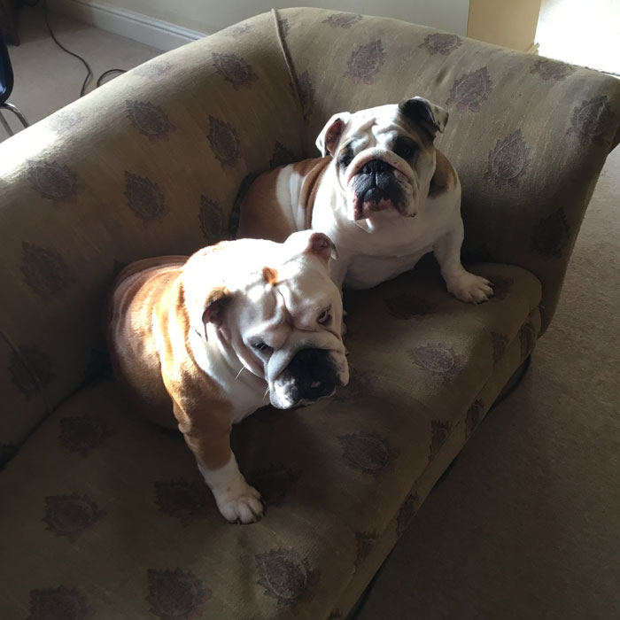 30 People In This Online Group List Things That Have A Much Darker Reality Than One Might Think