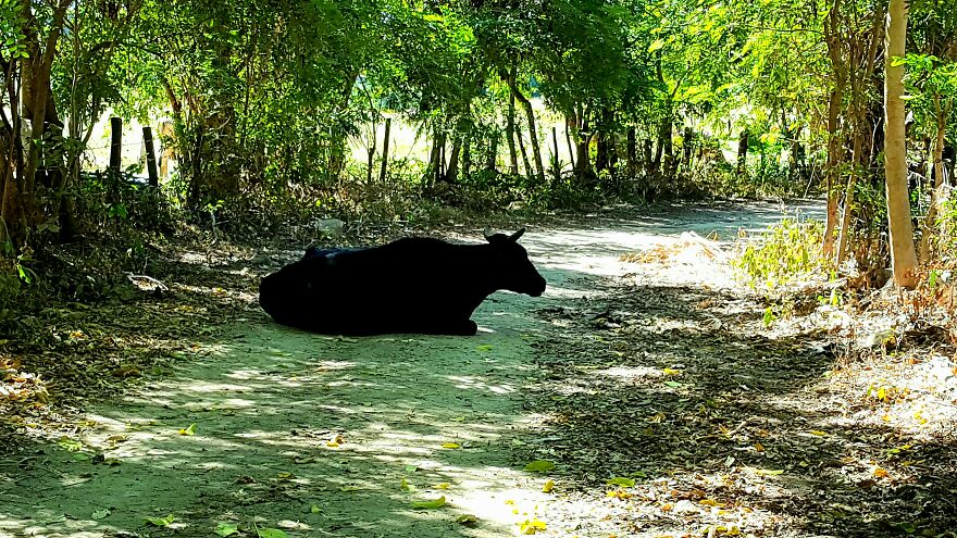 20 More Photos From My Mexico Trip