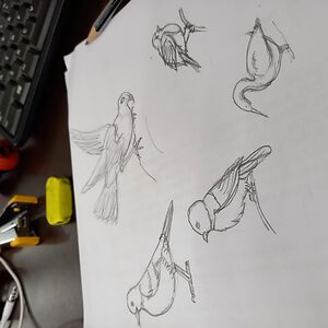 daniellekeller avatar