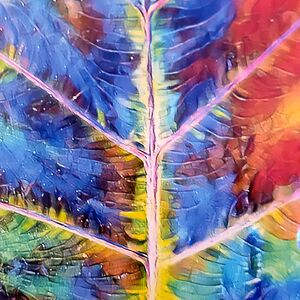 crystalboogie avatar