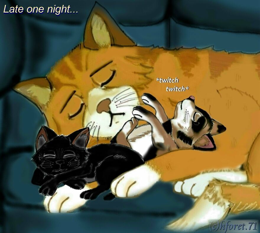 "The Nightshift..."