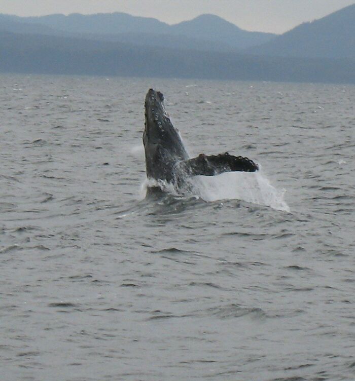 People In This Online Group Know Some Pretty Disturbing Facts About The World And Shared Them For Others To Learn