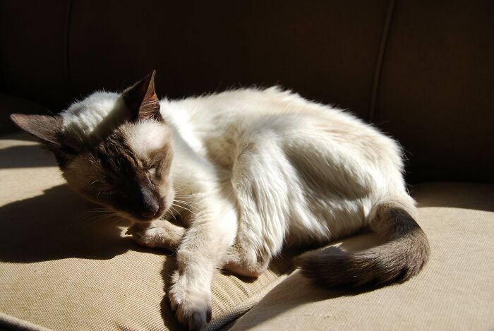 30 Situations That Happened At Night And Caught People Off Guard, As Revealed By Users Of This Online Group