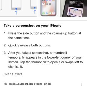 someautisticfemalecoyote avatar