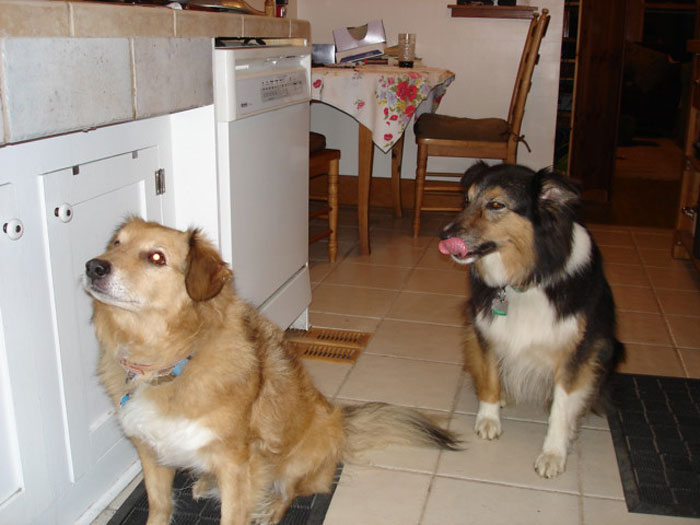 25 Historias sobre cosas terribles que hacen algunos huéspedes