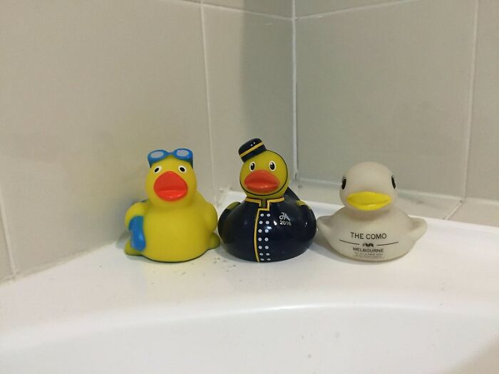 25 Historias sobre cosas terribles que hacen algunos huéspedes