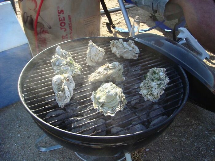 People In This Online Group Know Some Pretty Disturbing Facts About The World And Shared Them For Others To Learn