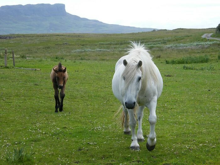 Someone Online Asked, “Who Is The Most Famous Person In Your Family?”, And 30 Delivered