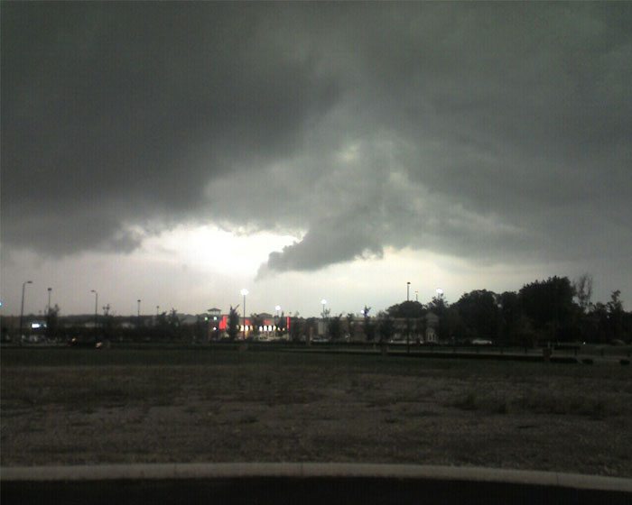 30 Of The Most Creepy Or Weird Things People Witnessed In Oceans, As Shared In This Online Group