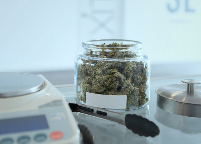 Job Interviewers Reveal The Worst "This Person Isn't Getting The Job" Moments, Show What Not To Do (30 Posts)