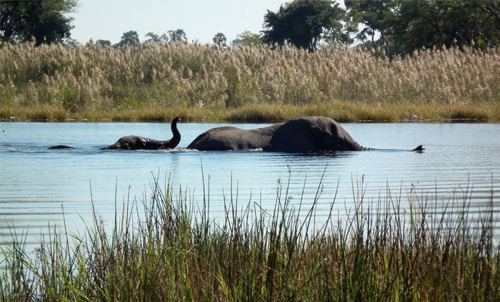 30 Of The Most Creepy Or Weird Things People Witnessed In Oceans, As Shared In This Online Group