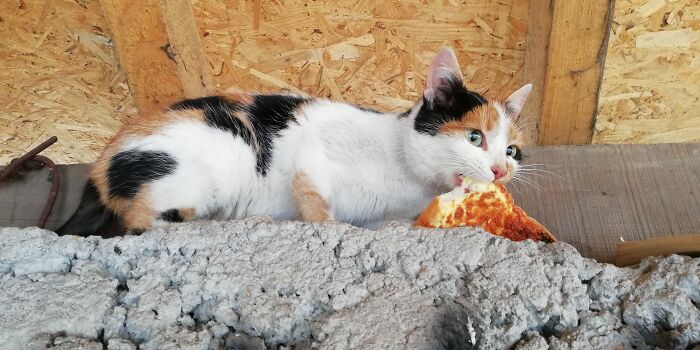 20 Reglas no escritas que la gente sin sentido común tiende a ignorar y es muy molesto