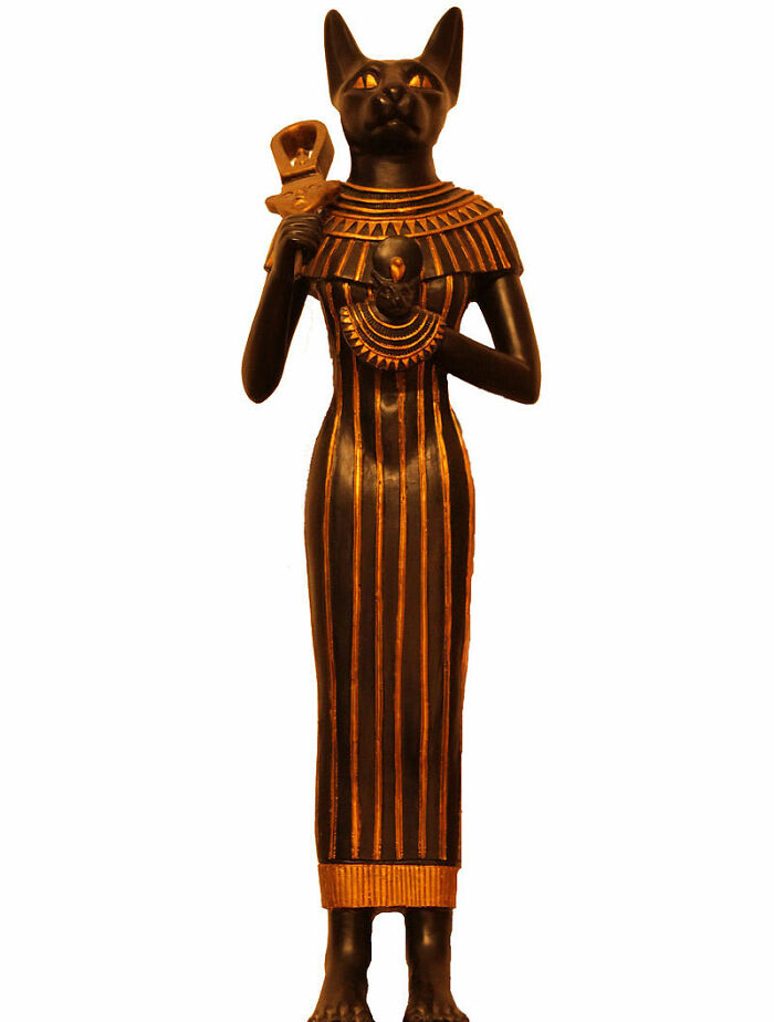 «Hoy aprendí»: 25 Nuevos datos que demuestran que nunca es tarde para aprender