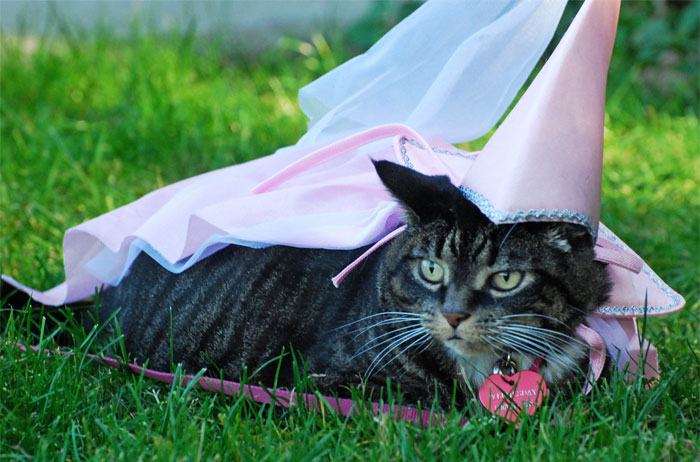 40 Things People Said That Indicated They Don’t Realize How The World Really Works, As Shared In This Online Community