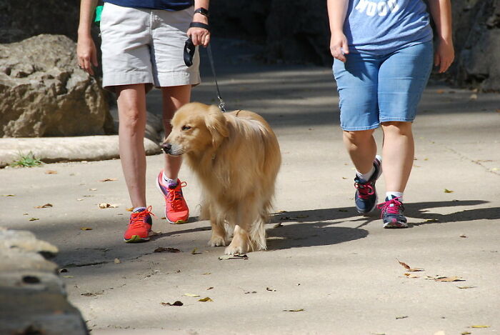 30 Of The Good And The Bad Culture Shocks Non-Americans Experienced While In The US, As Shared In This Online Group