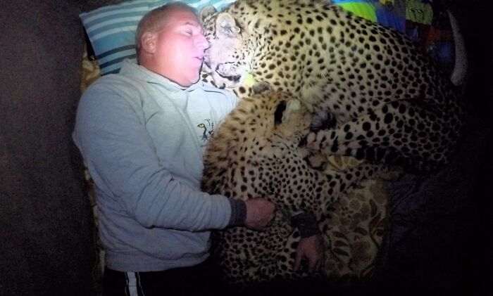 Meet Dolph, A Man Who Became Best Friends With A Wild Cheetah