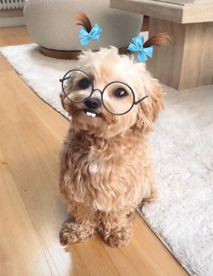 33 Things Society Has Made Us Believe Are “Necessities” But People In This Online Group Argue They Are Addictions