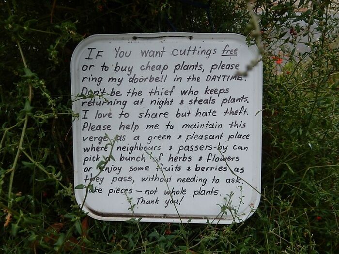 30 Basic Skills That Folks Thought Everyone Had Until They Saw Others Do It Horribly, As Shared Online