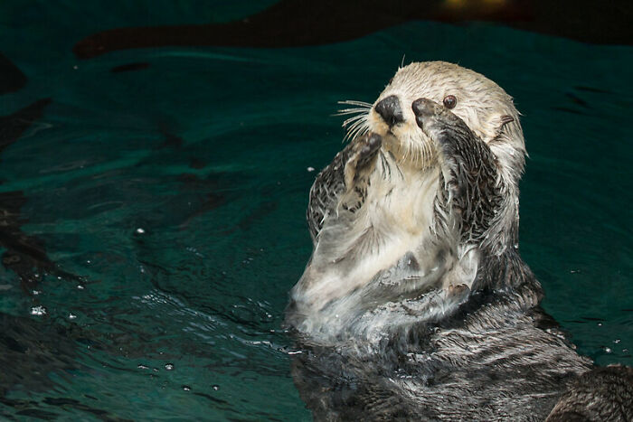 30 Times Job Interviews Made The Users Of This Online Group Feel Baffled As They Were So Bizarre And Disorganized