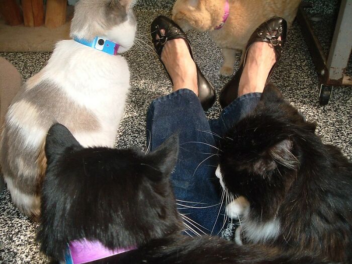 30 Rich Folks That Tied The Knot With Their Less Fortunate Partners Reveal What Shocked Them The Most About Their Ex-Life