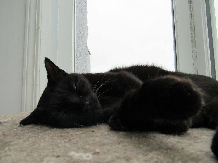 30 Situations That Happened At Night And Caught People Off Guard, As Revealed By Users Of This Online Group