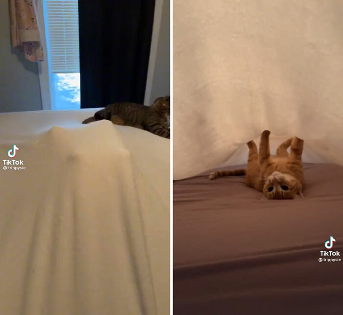 Disfrutando de la vida