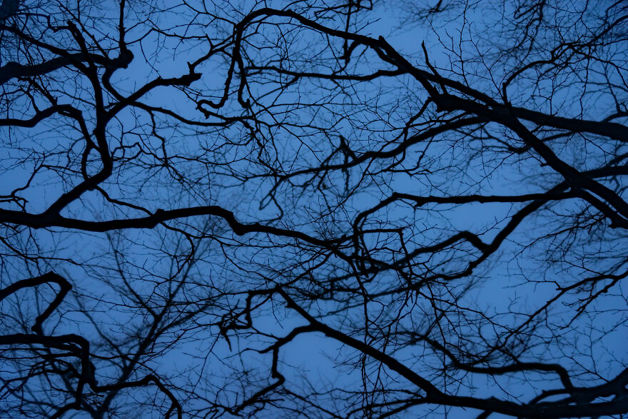 I Felt The Erebus On The Centaur΄s Mountain Pelion (10 Pics)