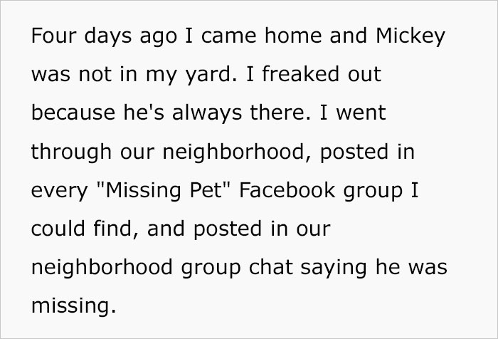 Neighbor Trespasses Into Woman&rsquo;s Yard, Takes Her Dog Thinking It&rsquo;s A Stray, And Gives It Away To Friend, Then Gets Upset After Neighbor Comes To Take It Back From Them