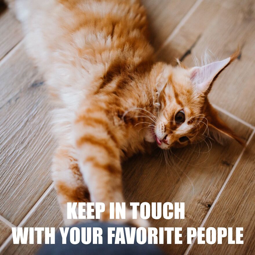 7 Tips From My Cat Thor To Feel Better On Monday