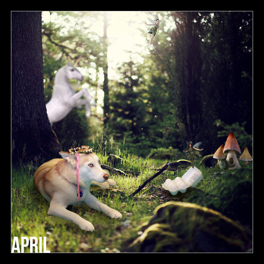 I Photoshop My Dog Into Goofy Scenes For My 2022 Calendar