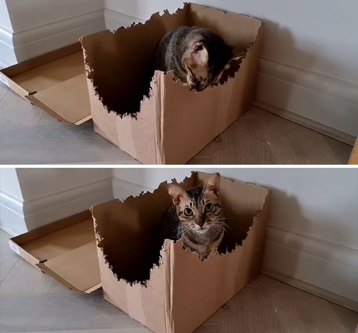 Why Does She Keep Doing This