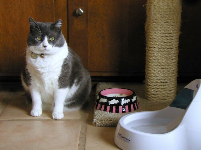 34 Stories About The Worst Things Guests Did, Told By Users Of This Online Community