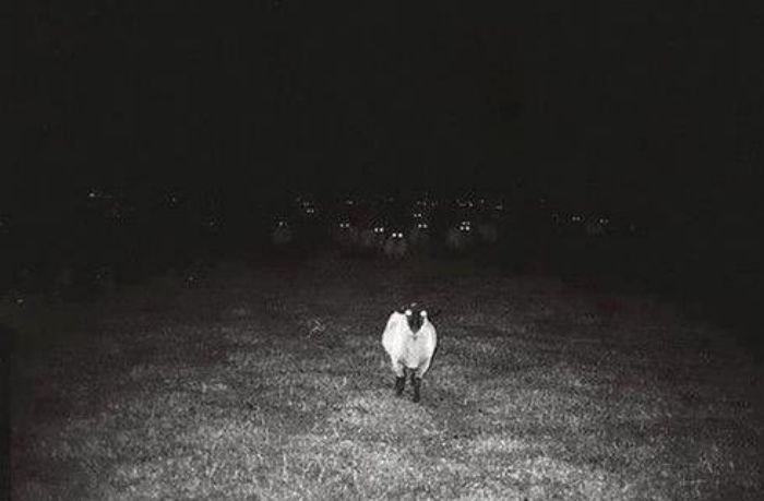 This Twitter Page Collects The Most ‘Cursed’ Images Online, Here Are 50 Of The Best