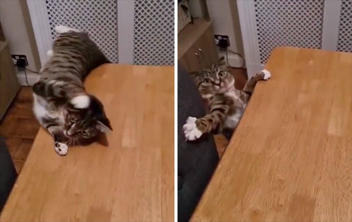 Not A Very Agile Acrobat