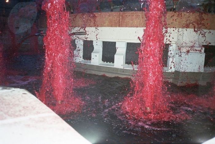 Cursed-Weird-Images-No-Context