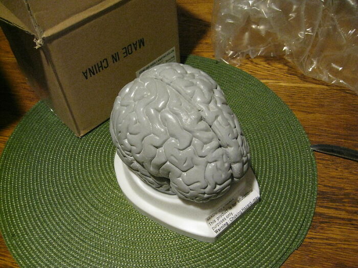 People In This Online Group Know Some Pretty Disturbing Facts About The World And Shared Them For Others To Learn