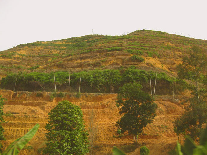 35 Cosas que arruinan inmediatamente una película, señaladas en este grupo online