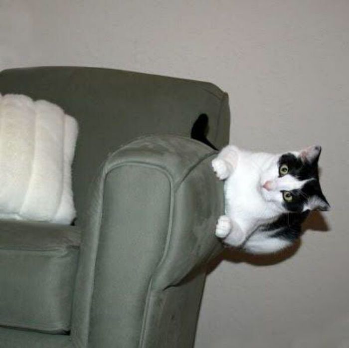 This Twitter Page Collects The Most ‘Cursed’ Images Online, Here Are 50 Of The Best