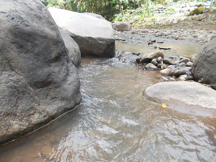 Folks Online Share 30 Examples Of The Mandela Effect That Were The Most Confusing To Them