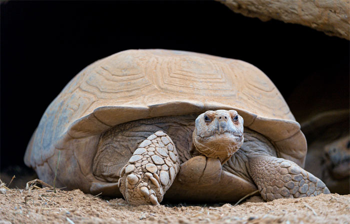 30 Of The Most Creepy Or Weird Things People Witnessed In Oceans, As Shared In This Online Group