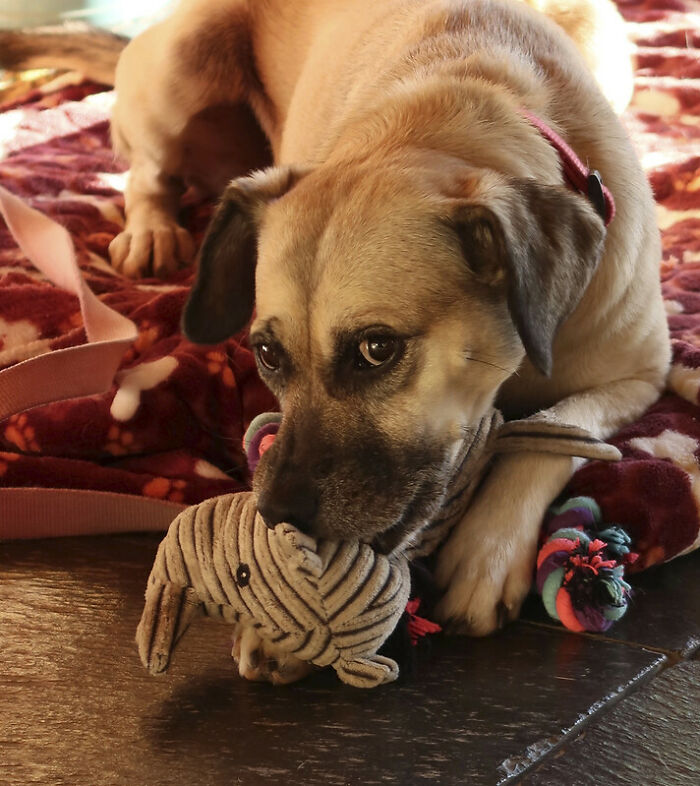 People In This Online Group Know Some Pretty Disturbing Facts About The World And Shared Them For Others To Learn