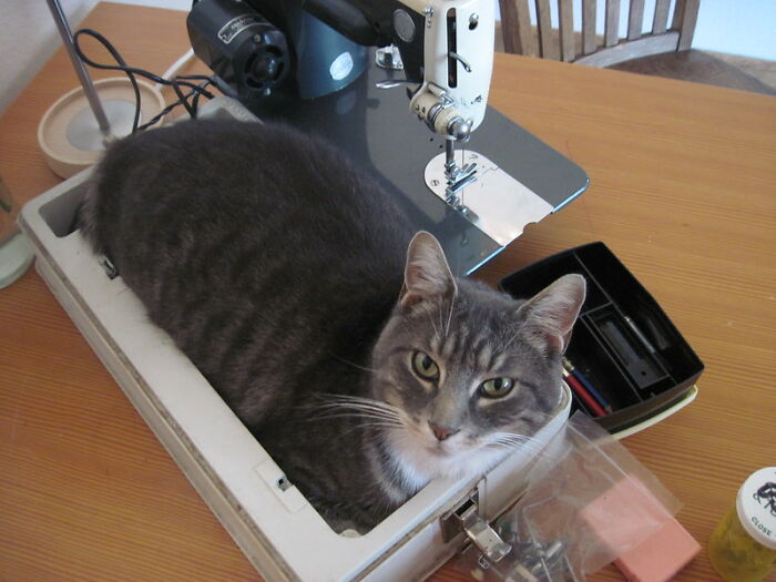 30 Basic Skills That Folks Thought Everyone Had Until They Saw Others Do It Horribly, As Shared Online