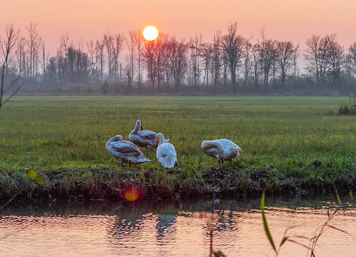 30 Of The Good And The Bad Culture Shocks Non-Americans Experienced While In The US, As Shared In This Online Group