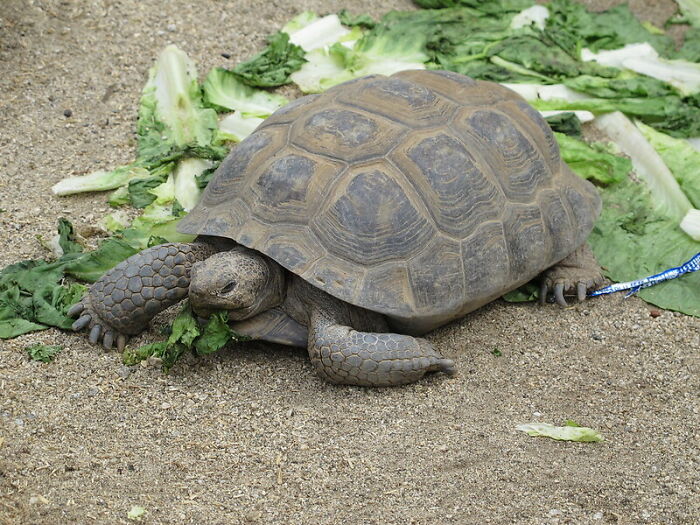 People In This Online Group Know Some Pretty Disturbing Facts About The World And Shared Them For Others To Learn