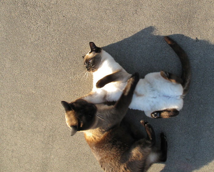 35 Cosas que arruinan inmediatamente una película, señaladas en este grupo online