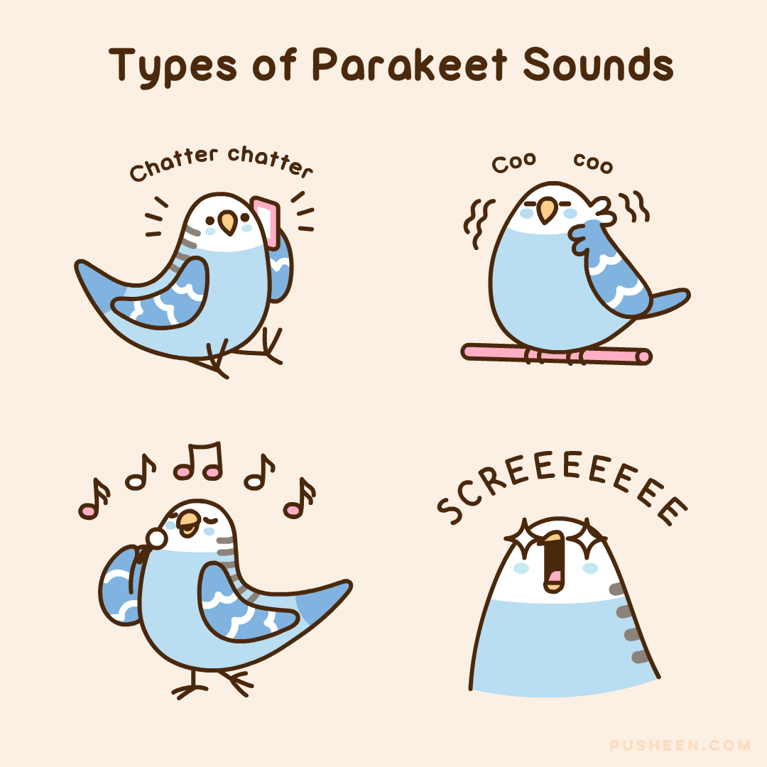 40 Adorable Pusheen Comics