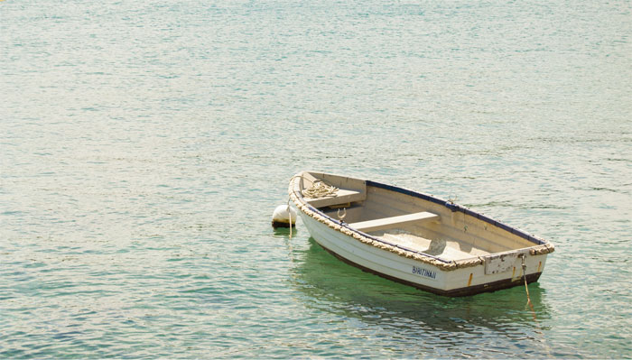 30 Of The Most Creepy Or Weird Things People Witnessed In Oceans, As Shared In This Online Group