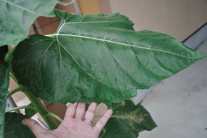 30 Rich Folks That Tied The Knot With Their Less Fortunate Partners Reveal What Shocked Them The Most About Their Ex-Life