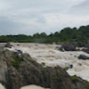 monroemullinix avatar