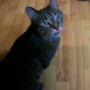 casmeranorwich avatar